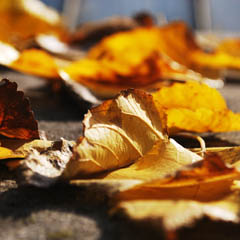 手机版ddos攻击器